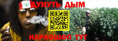 сатива Гатчина