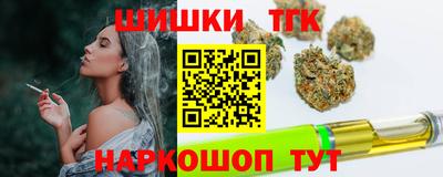 сатива Гатчина