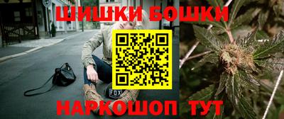сатива Гатчина