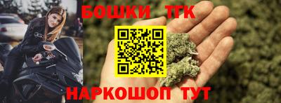 сатива Гатчина
