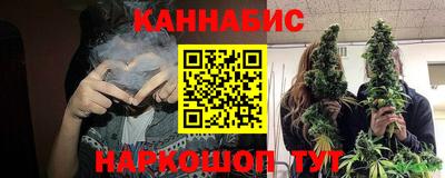 сатива Гатчина