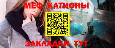 сатива Гатчина