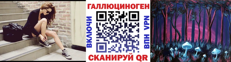 купить наркотики сайты  MEGA зеркало  Псилоцибиновые грибы Psilocybe  Новоалтайск 