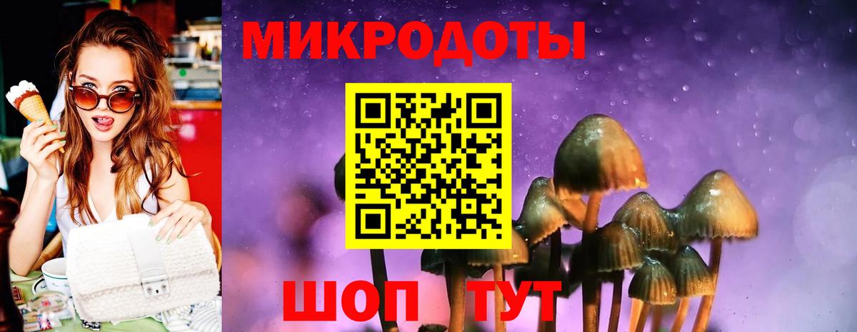Галлюциногенные грибы Magic Shrooms Новоалтайск